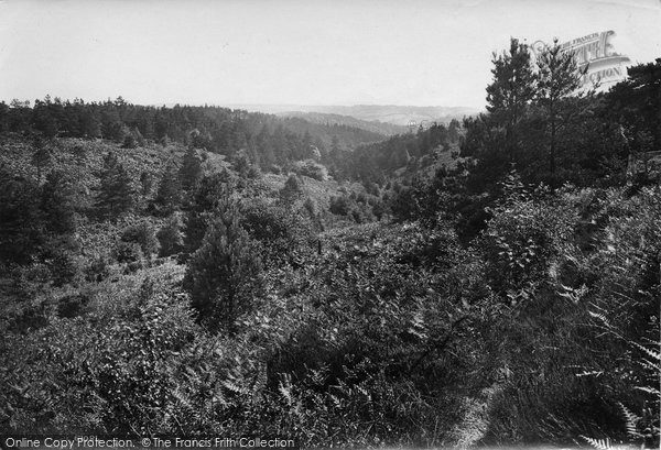 Photo of Hindhead, View From Nutcombe Heights 1914