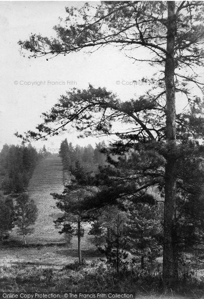 Photo of Hindhead, View From The Golf Links 1911