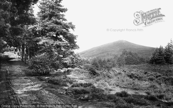 Photo of Hindhead, View Near Devil's Jumps 1909