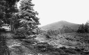 View Near Devil's Jumps 1909, Hindhead