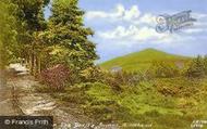 View Near Devil's Jumps 1909, Hindhead