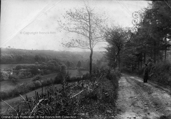 Photo of Hindhead, Whitmore Valley 1906