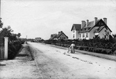 Wood Road 1910, Hindhead