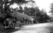 Hinton, Cat and Fiddle 1900