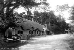 Hinton, Cat and Fiddle 1900