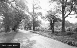 Woolaston Road c.1955, Hinwick