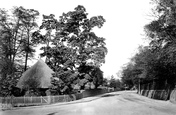 Walsworth Road 1901, Hitchin