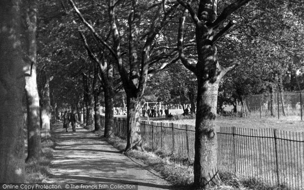 Photo of Hoddesdon, Beech Walk, Barclay Park c.1950