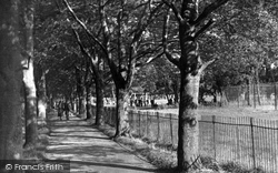 Beech Walk, Barclay Park c.1950, Hoddesdon