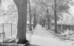 The Avenue c.1950, Hoddesdon