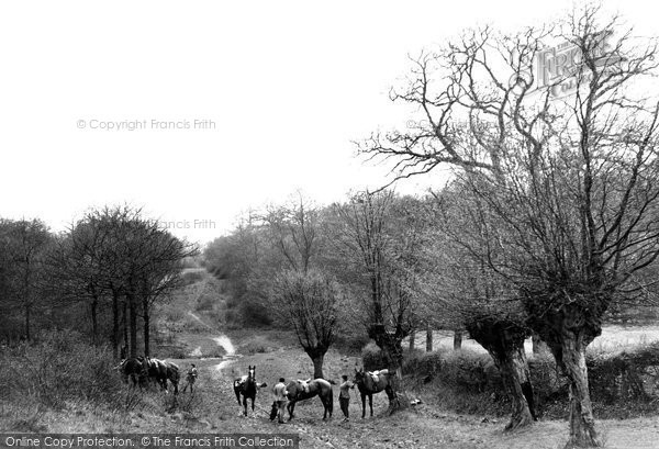 Photo of Hoddesdon, The Old Roman Road c.1950