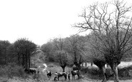 Hoddesdon, the Old Roman Road c1950
