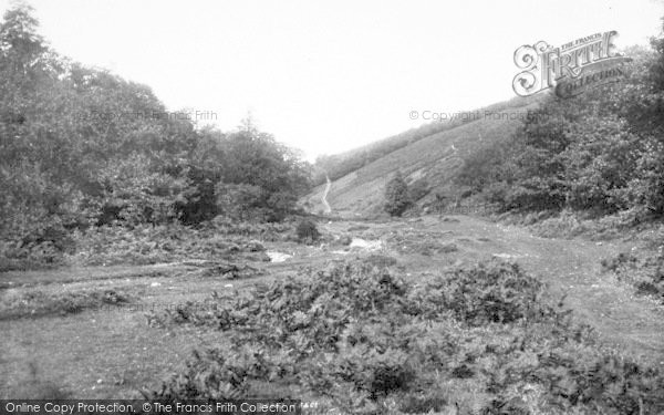 Photo of Holford, Butterfly Combe 1894