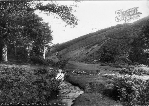 Photo of Holford, Butterfly Combe 1894