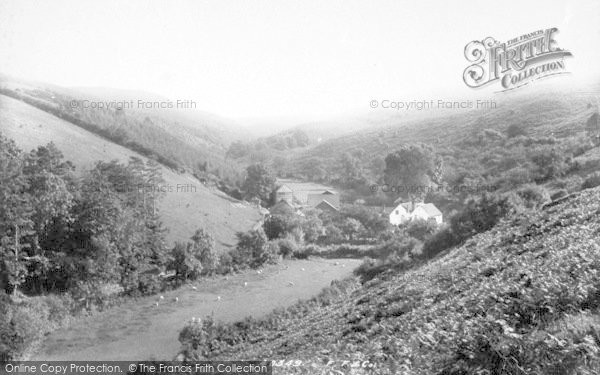 Photo of Holford, Butterfly Combe 1897