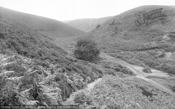 Photo of Holford, On The Quantocks 1929