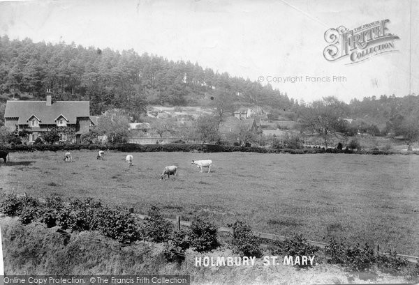 Photo of Holmbury St Mary, 1906