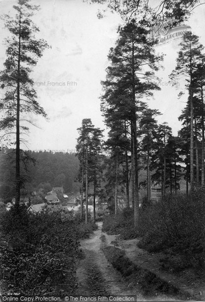 Photo of Holmbury St Mary, 1914