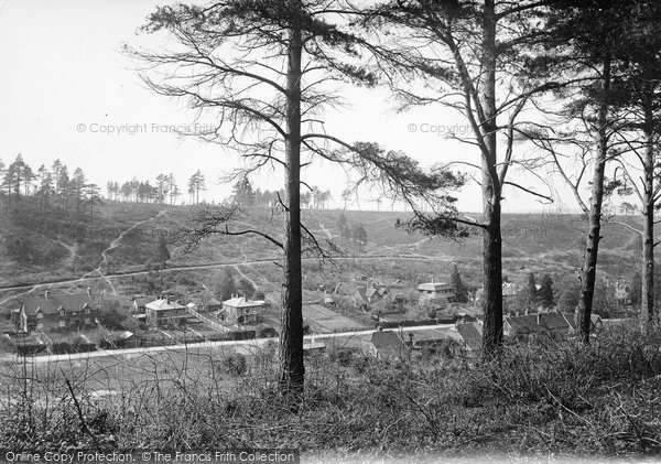 Photo of Holmbury St Mary, 1919