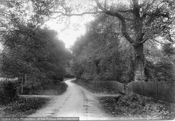 Photo of Holmbury St Mary, Forest Green Lane 1909