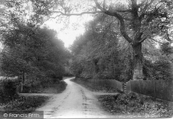 Forest Green Lane 1909, Holmbury St Mary