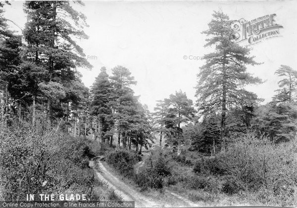 Photo of Holmbury St Mary, In The Glade 1906