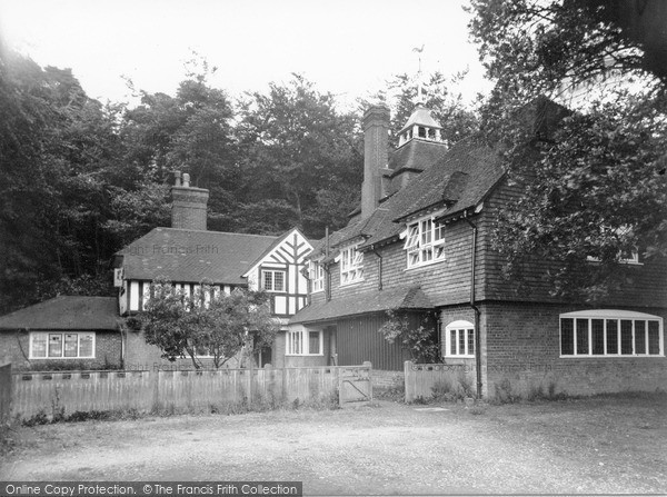 Photo of Holmbury St Mary, Pasture Wood c.1955