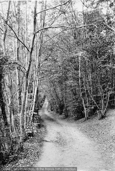 Photo of Holmbury St Mary, Pathway To Leith Hill 1914