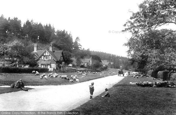 Photo of Holmbury St Mary, Post Office Corner 1906