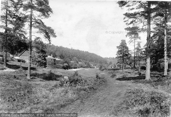Photo of Holmbury St Mary, The Glade 1906