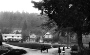The Green 1906, Holmbury St Mary