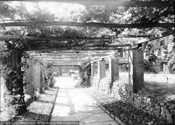 Photo of Holmbury St Mary, The Pergola, Pasture Wood c.1955