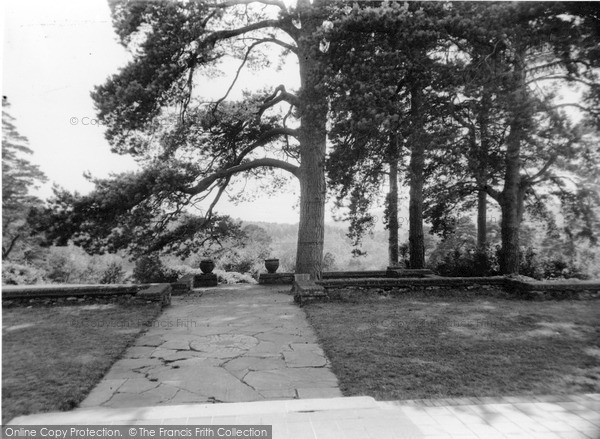 Photo of Holmbury St Mary, View From The Front Door, Pasture Wood c.1955