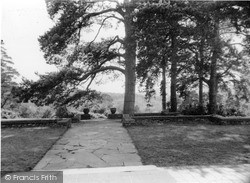 View From The Front Door, Pasture Wood c.1955, Holmbury St Mary