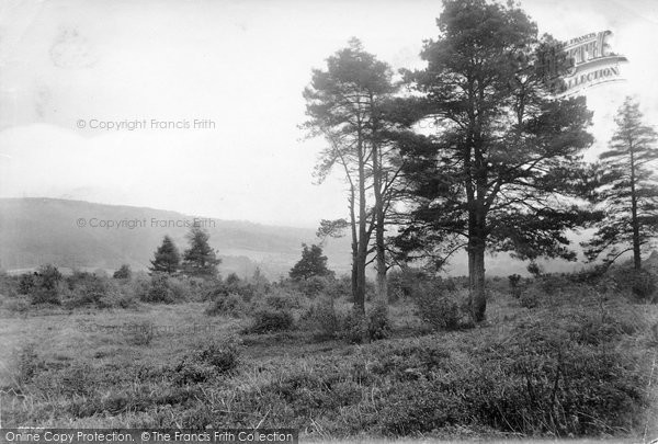 Photo of Holmbury St Mary, View On Holmbury Hill 1914