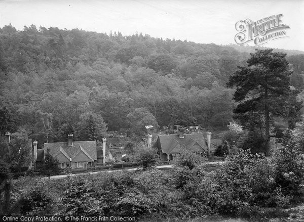 Photo of Holmbury St Mary, Wayside 1924