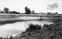 The River c.1960, Holt