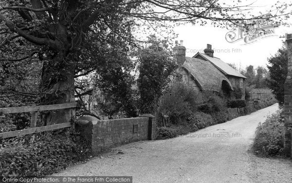 Photo of Holybourne, Neatham Lane c.1960