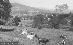 And Lose Hill c.1965, Hope