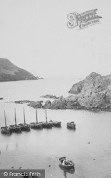 Bay And Bolt Tail 1890, Hope Cove