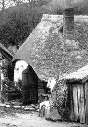 Old Cottage 1890, Hope Cove
