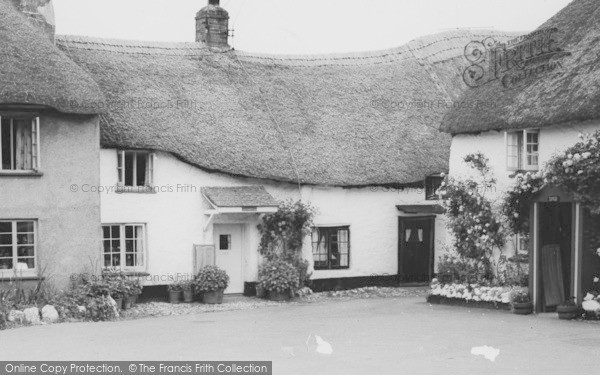Photo of Hope Cove, Thatched Cottages c.1965