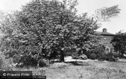 Carr Lodge Park c.1955, Horbury