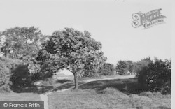 Elm Park c.1955, Hornchurch