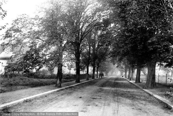 Photo of Hornchurch, Great Nelmes Estate, Elm Grove 1909