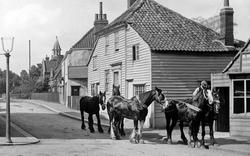 Horses In North Street 1908, Hornchurch