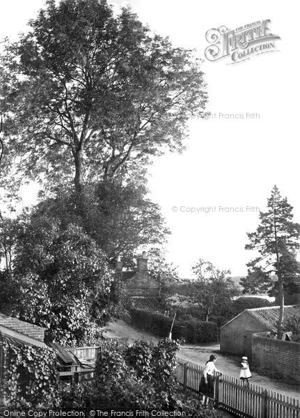 Photo of Horning, The Village 1902