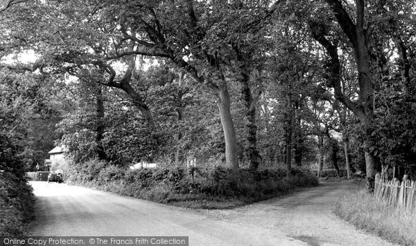 Photo of Horsey, The Village c.1955