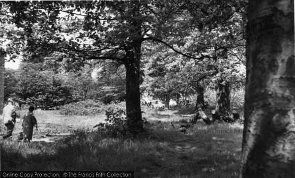 Photo of Horsforth, Path To Wood Top From Hall Lane c.1965