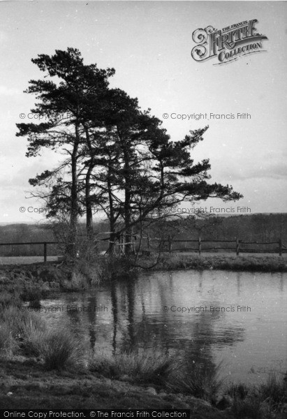 Photo of Horsham, A Forest Pool c.1930